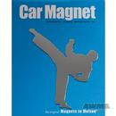Martial Arts Magnets