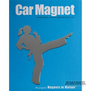 Martial Arts Magnets
